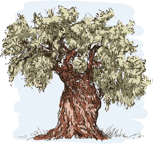 Gamla träd — Stock vektor