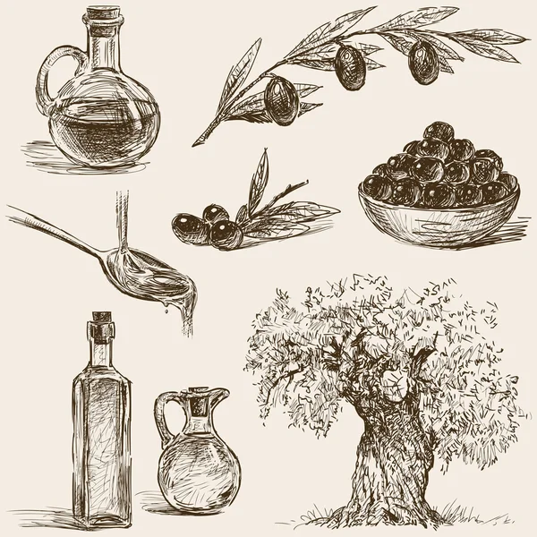 Bocetos sobre aceitunas — Archivo Imágenes Vectoriales