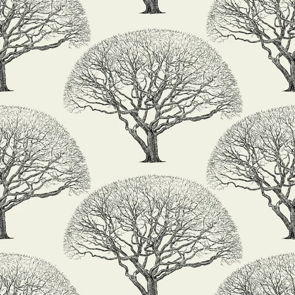 Modèle d'un grand arbre — Image vectorielle