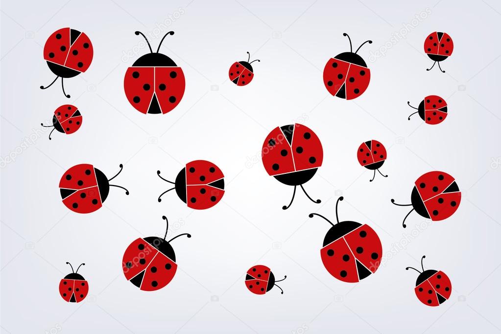 ladybird vector image