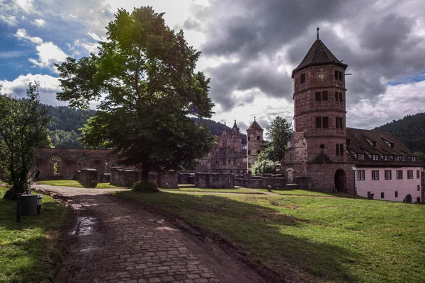 Claustro bezerro na floresta negra — Fotografia de Stock