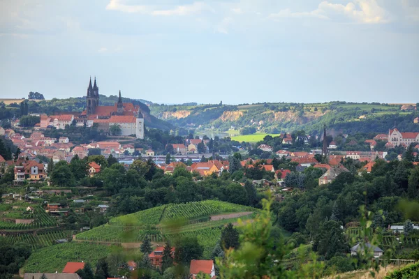 View over the Elbe river — Stock Photo, Image