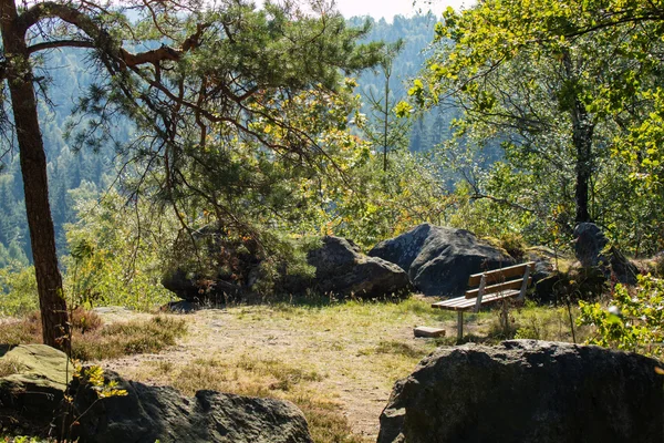 Деревянная скамейка в лесу — стоковое фото