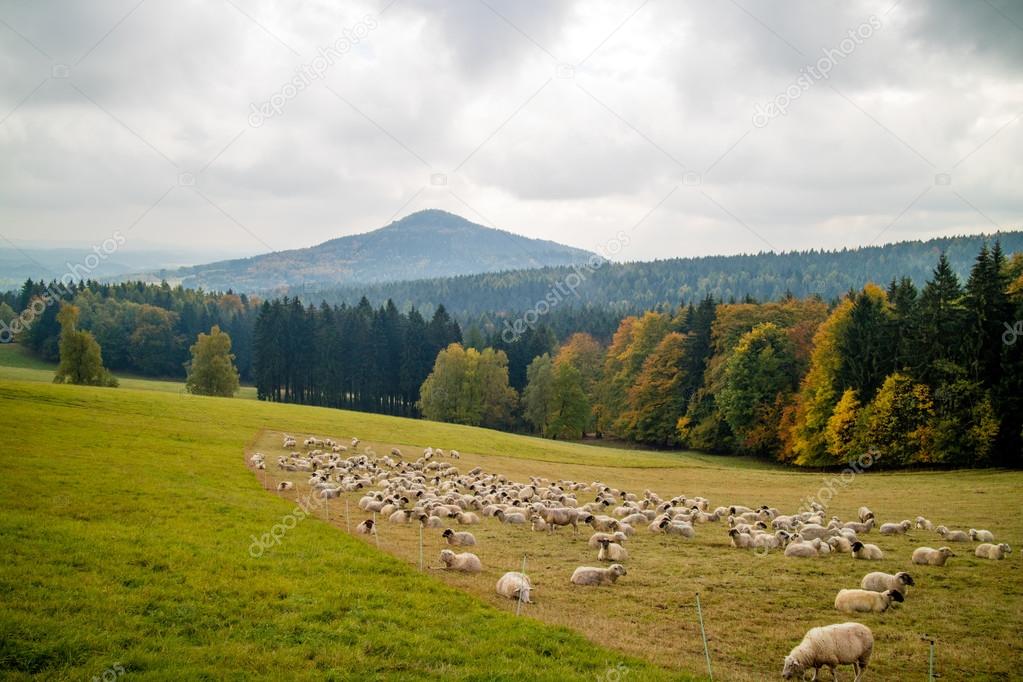 upper lusatia, landscape