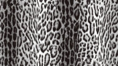 Moda ve tekstil tasarımı için stilize edilmiş leopar deseni