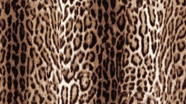 Moda ve tekstil tasarımı için stilize edilmiş leopar deseni