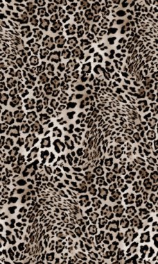 leopar derisinin arkaplanı