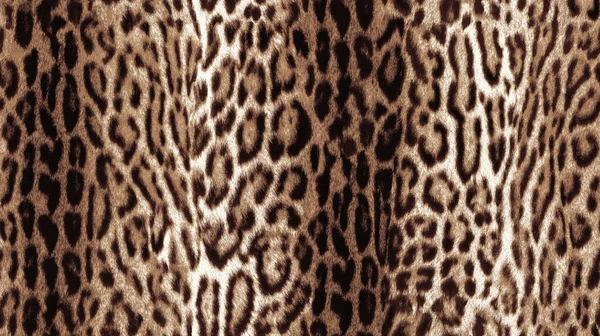 Moda ve tekstil tasarımı için stilize edilmiş leopar deseni