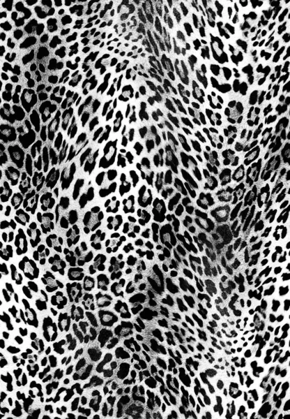 Deri dokusu, siyah beyaz arkaplan, hayvan derisi dokusu