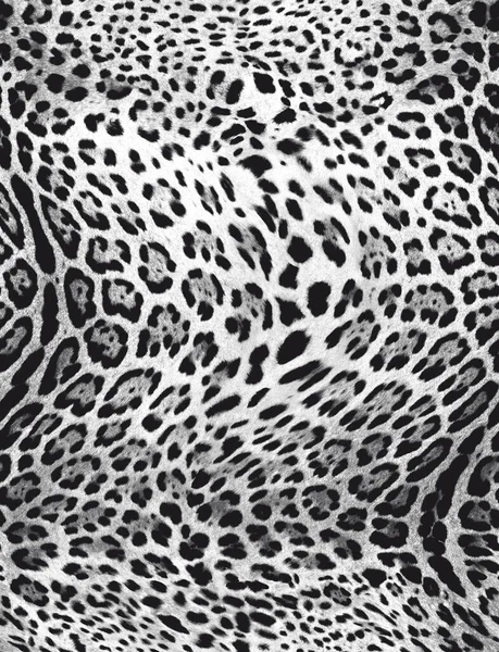 Leopar derisi dokusu. soyut arkaplan