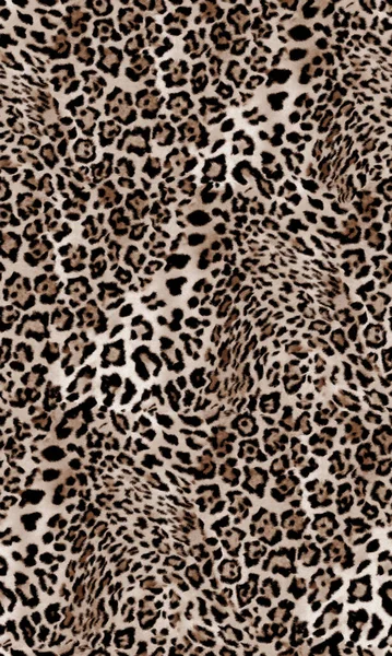 leopar derisinin arkaplanı