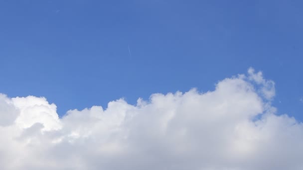 Time Lapse Nubes hinchadas blancas en el cielo azul de fondo — Vídeos de Stock