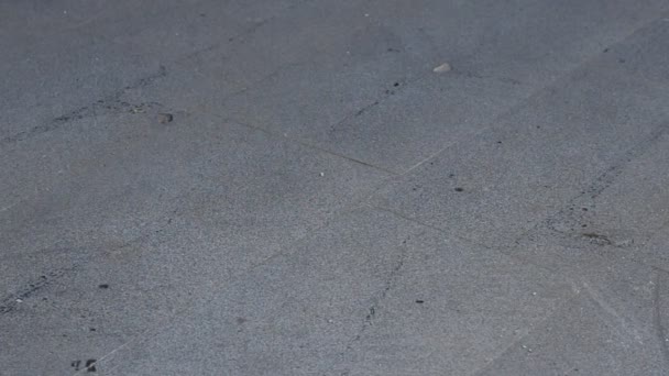 Garrafa esmagando movimento lento no asfalto — Vídeo de Stock