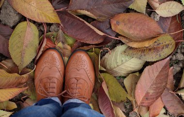 Sarı, turuncu, yeşil ve kırmızı yaprakları ile bej Ayakkabı