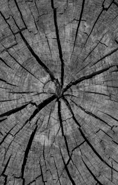 ahşap tahta ile kırık, siyah beyaz resim, duvar kağıdı