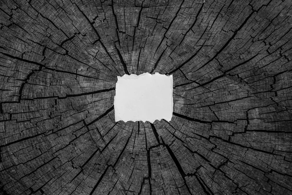 Prázdné bílé roztrhané lepenky na pozadí Dřevěná deska s praskliny — Stock fotografie