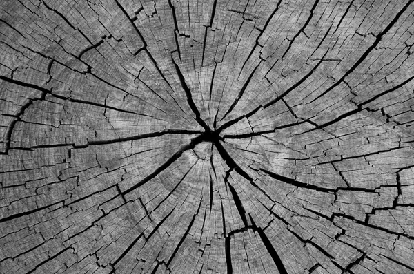Planche en bois avec fissure, photo noir blanc Images De Stock Libres De Droits