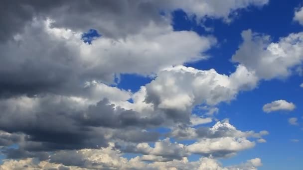 Час Лапсе, рух білих, сірих, пухнастих хмар — стокове відео