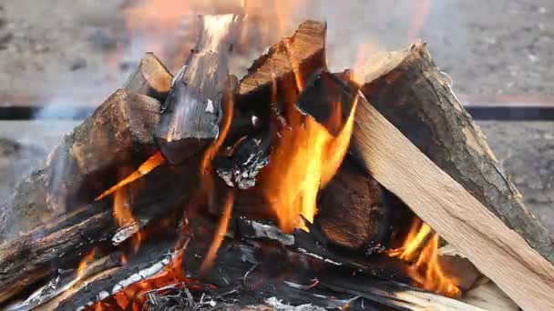 Holz vor dem Hintergrund der Natur verbrennen — Stockvideo