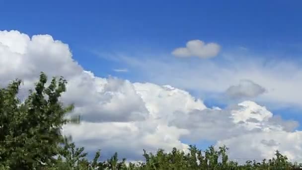 Timelapse nuages blancs, bleus, gris — Video