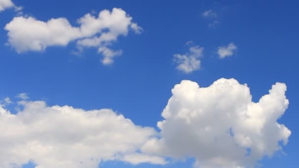 Tid förflutit, motion vit, grå, fluffigt moln på bakgrunden blå himlen — Stockvideo