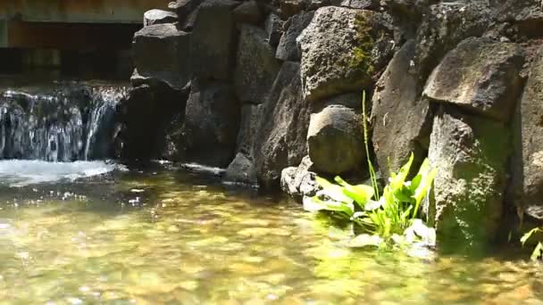 Piękny wodospad w nature — Wideo stockowe