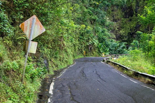 Estrada para Hana — Fotografia de Stock