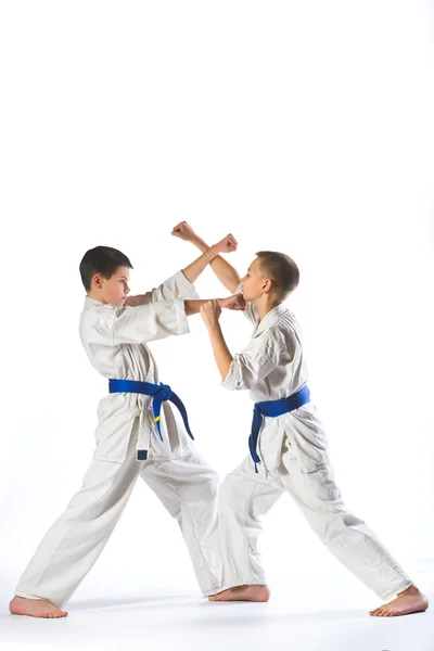 Karate boy en kimono luchando sobre un fondo blanco — Foto de Stock