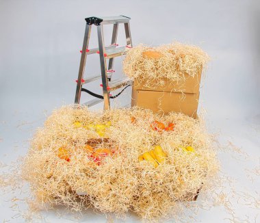 Meyve ve sebzelerle dolu karton kutular. Merdivenlerin yakınındaki beyaz arka planda talaş tozuyla kaplanmış.