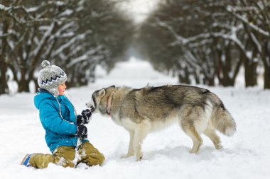 mutlu çocuk köpek husky açık havada kış günde oynayın