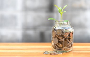 Sikke ve tohum, arka plan bulanık şişesinde temizleyin