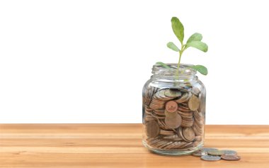 Sikke ve tohum açık şişe beyaz arka plan üzerinde izole