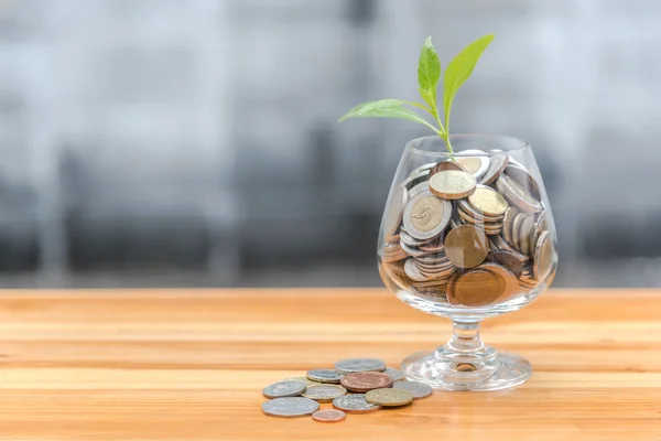 Coins and seed in clear bottle on blurred background — Stock Photo, Image