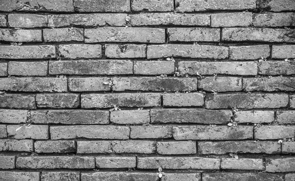 Old black and white brick background
