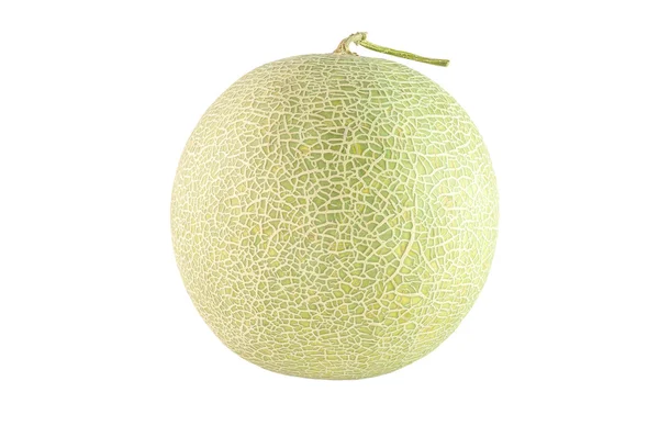 Melon isolated on white background — Stock Photo, Image