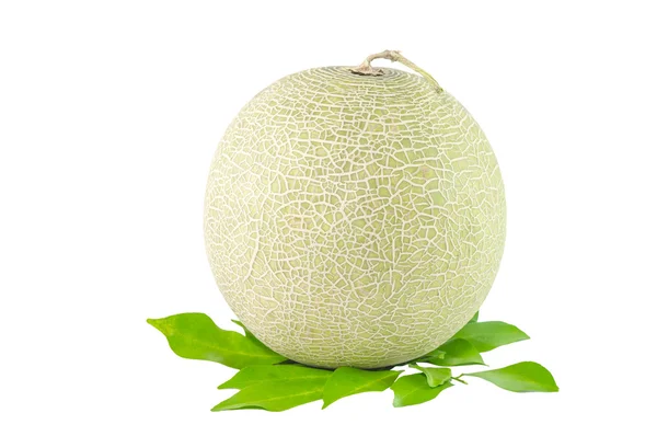 Melon isolated on white background — Stock Photo, Image