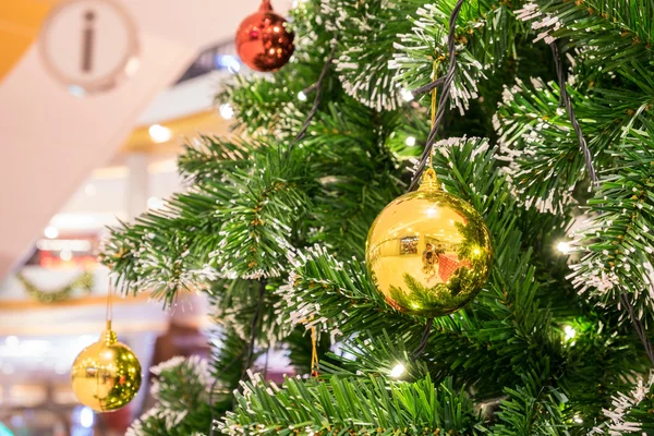 Christmas ball on fir branch — Stock Photo, Image