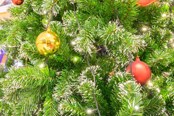 Christmas ball on fir branch — Stock Photo, Image