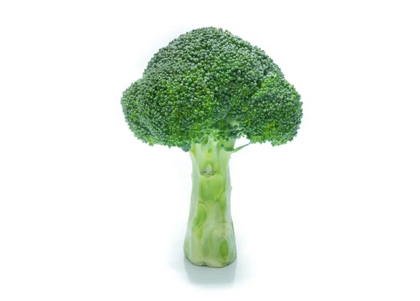 Fresh Broccoli isolated — Stock Photo, Image