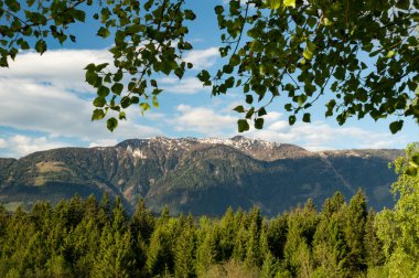 Austriackie alpy ponad lasem