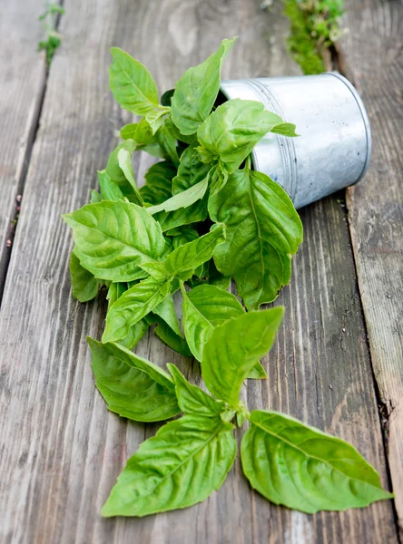 Fresh organic basil