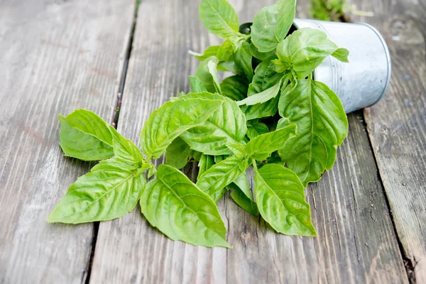 Fresh organic basil