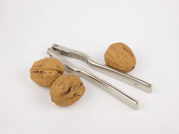 Beyaz zemin üzerinde bir Fındıkkıran cevizli