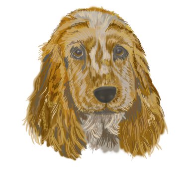 Köpek hayvan illüstrasyon