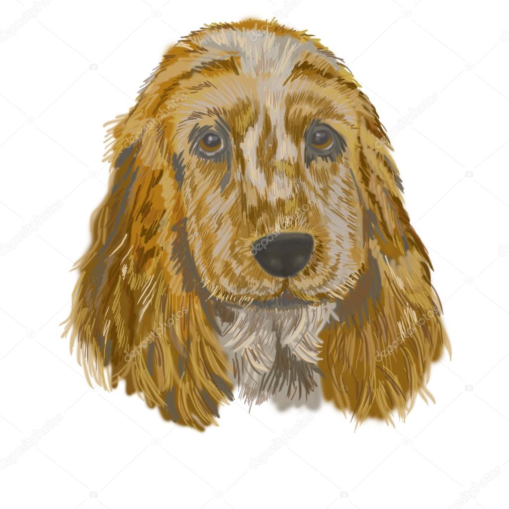 犬動物イラスト ストック写真 C Orlova Rimma 90 Mail Ru 犬動物イラスト ストック写真 C Orlova Rimma 90 Mail Ru