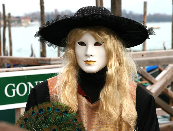 O Carnilal de Veneza 11 — Fotografia de Stock