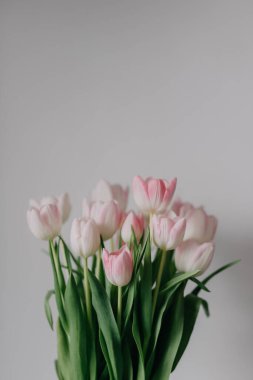 Beyaz arka planda bir buket lale.