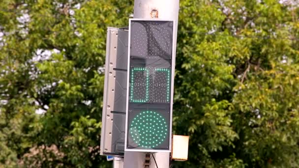 Led Traffic Light Switches From Green To Red v1 — Stock Video