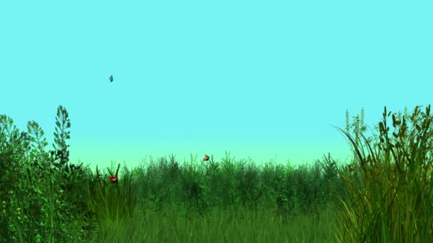 Pré d'été animé avec des papillons volants 
