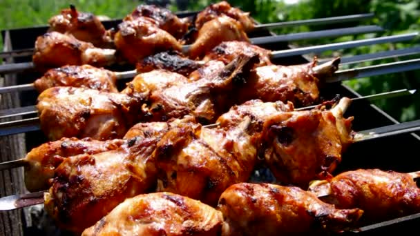 Juicy dan zazharisty tusuk sate ayam — Stok Video